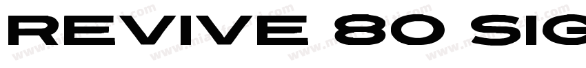 Revive 80 Signature字体转换